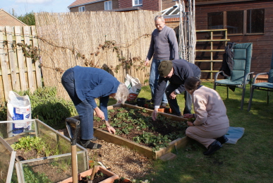 Planting in a raised bed